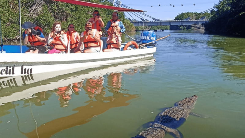 From Cancún: Rio Lagartos & Las Coloradas Day Trip & Lunch - Who should book this Río Lagartos trip?