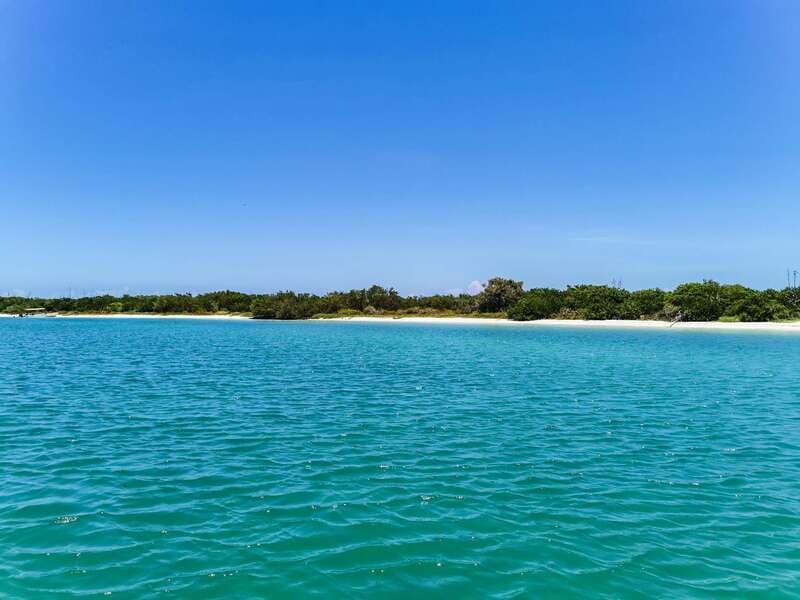 From Cancún: Rio Lagartos & Las Coloradas Day Trip & Lunch - The six-hour journey from Cancún