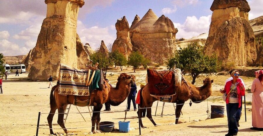 From Cappadocia: Sunrise or Sunset Camel Riding Day Trip - What happens from pickup to camel saddle