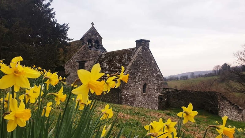 From Cardiff: Wye Valley and Brecon Beacons Full-Day Trip - Tintern Abbey in the Wye Valley