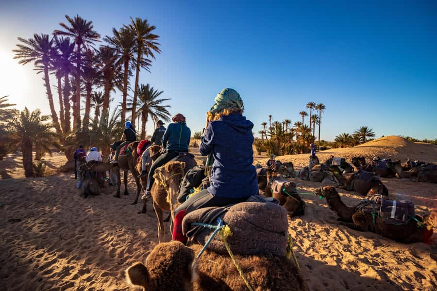 From Casablanca: Day Trip to Marrakech with Camel Ride - Lunch and the extra costs to plan for