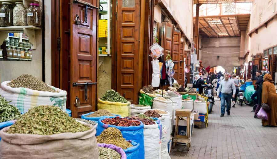 From Casablanca: Marrakech Guided Day Trip with Camel Ride - The Mellah and Marrakech’s layered past