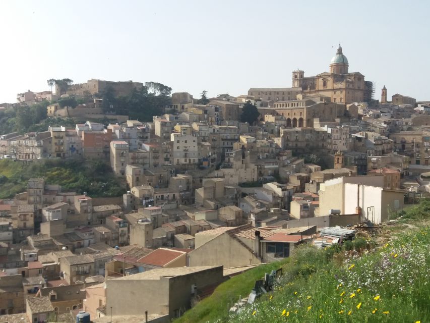 From Catania: Agrigento and Piazza Armerina Full-Day Trip - Lunch, timing, and the small practical snags