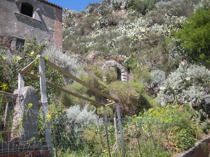 From Catania: The Godfather Movie Day Trip in Sicily - Transport, timing, and the value of the price
