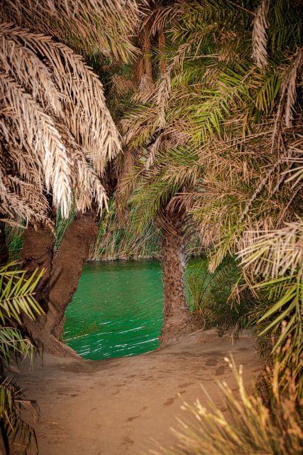 From Chania: Day Trip to Preveli Beach & Damnoni Beach - Damnoni Beach, the first real stop
