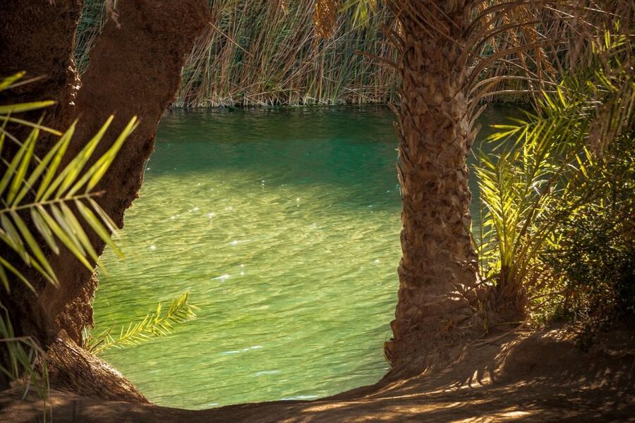 From Chania: Day Trip to Preveli Beach & Damnoni Beach - What the $42 price really covers