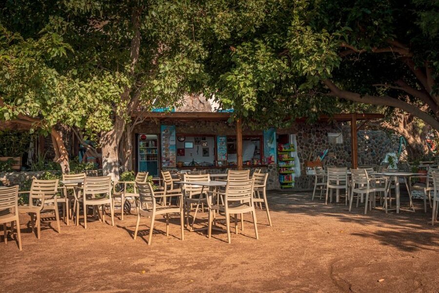 From Chania: Day Trip to Preveli Beach & Damnoni Beach - The 100-minute coach ride from Chania