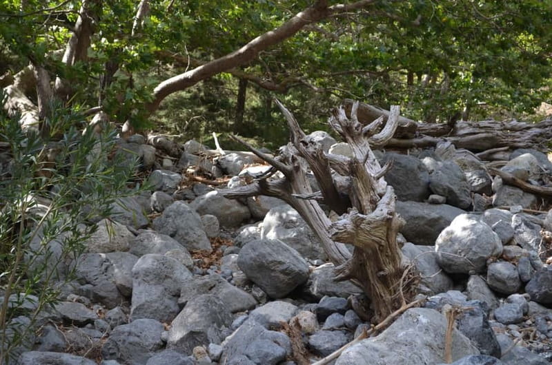 From Chania/Kalyves: Full-Day Samaria Gorge Hiking Day Trip - Who should book this hike?