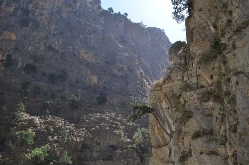 From Chania/Kalyves: Full-Day Samaria Gorge Hiking Day Trip - Breakfast at Omalos and the start at Xyloskalo