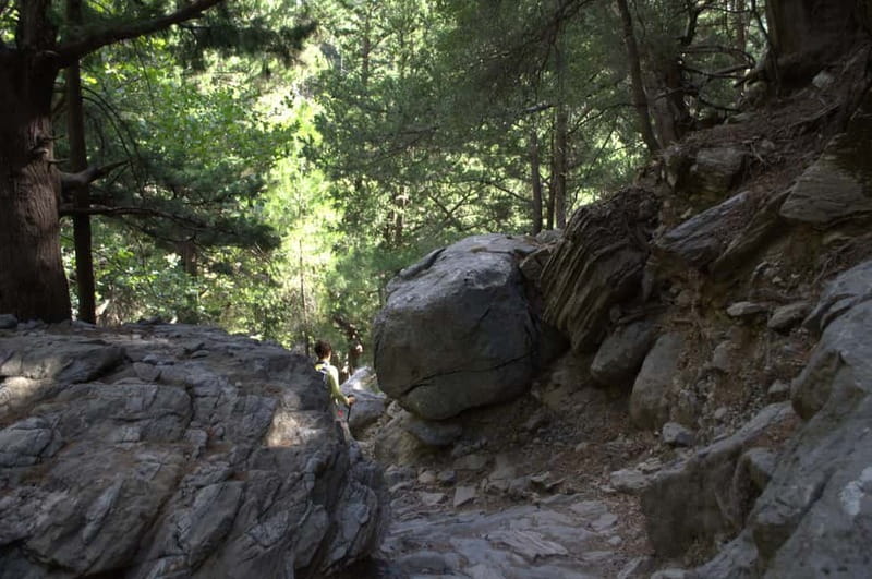From Chania/Kalyves: Full-Day Samaria Gorge Hiking Day Trip - The 4 to 6-hour walk through Samaria Gorge