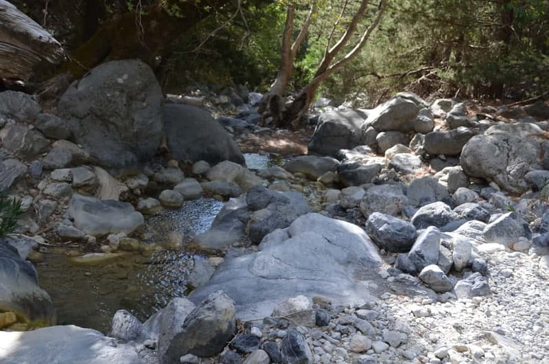 From Chania/Kalyves: Full-Day Samaria Gorge Hiking Day Trip - What makes the gorge scenery special