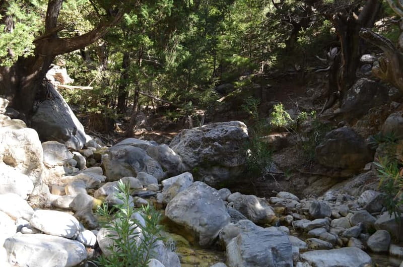 From Chania/Kalyves: Full-Day Samaria Gorge Hiking Day Trip - Four hours at Agia Roumeli