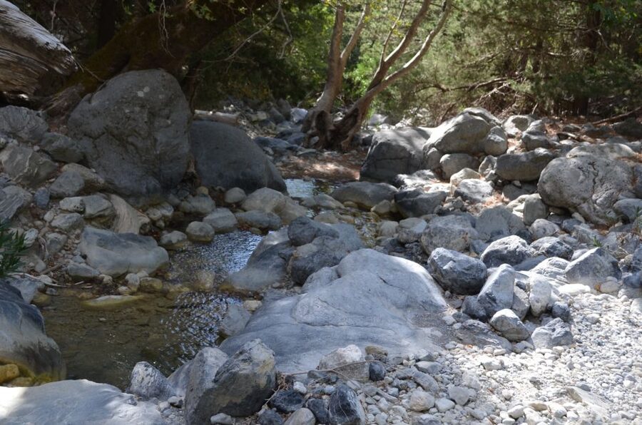 From Chania/Kalyves: Full-Day Samaria Gorge Hiking Day Trip - Ferry from Agia Roumeli to Sougia
