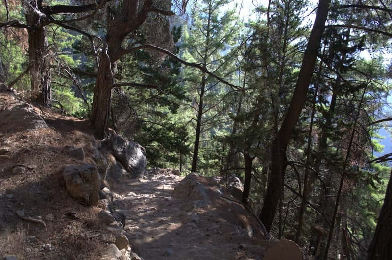 From Chania/Kalyves: Full-Day Samaria Gorge Hiking Day Trip - Is the $32.75 price good value?