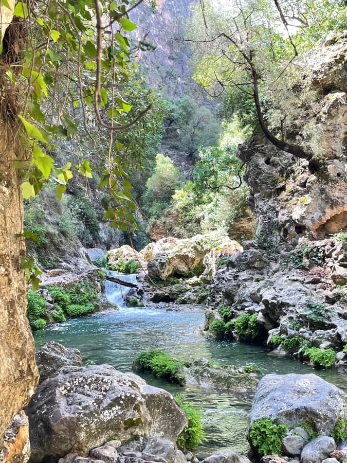 From Chefchaouen: Full-Day Trip to Akchour Waterfalls - A tagine beside the waterfall