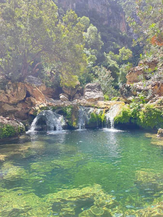 From Chefchaouen: Full-Day Trip to Akchour Waterfalls - What about God’s Bridge?