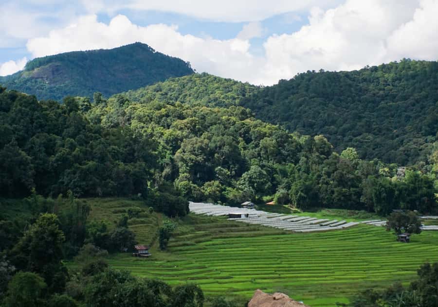 From Chiang Mai: Doi Inthanon National Park Day Trip & Hike - Twin Pagodas and the Hmong market