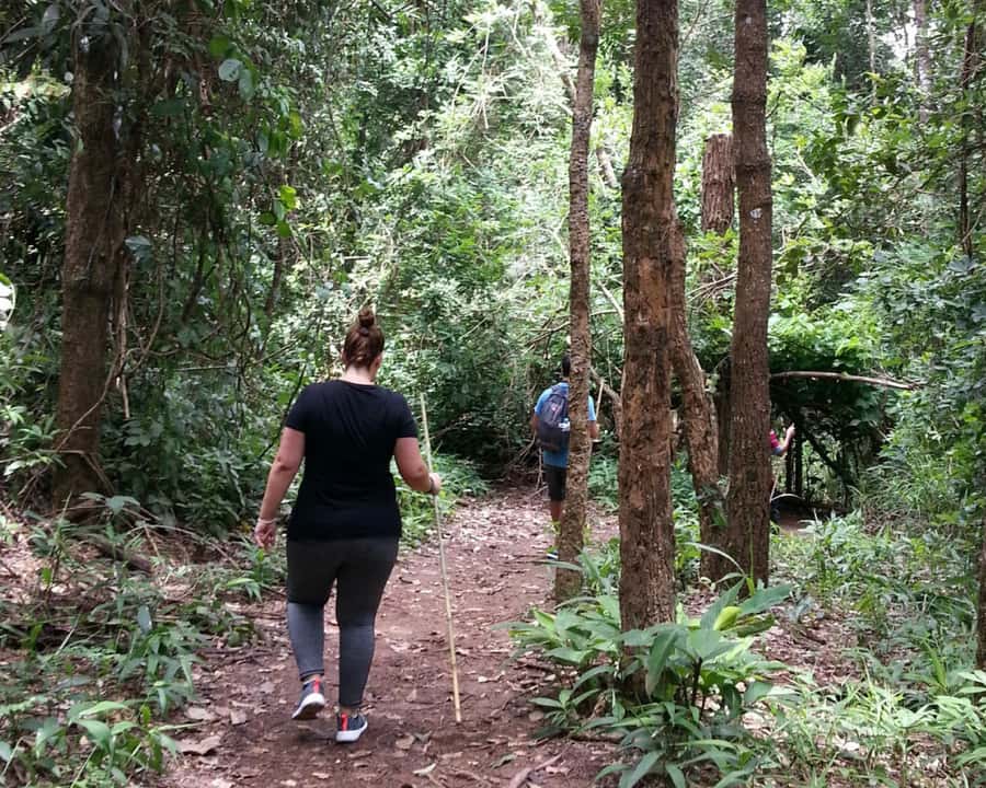 From Chiang Mai: Doi Inthanon National Park Day Trip & Hike - Lunch at the Royal Project restaurant