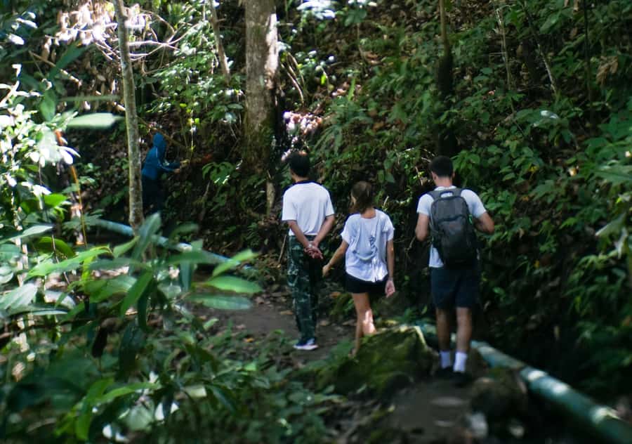 From Chiang Mai: Doi Inthanon National Park Day Trip & Hike - Mae Klang Luang and the Karen village visit