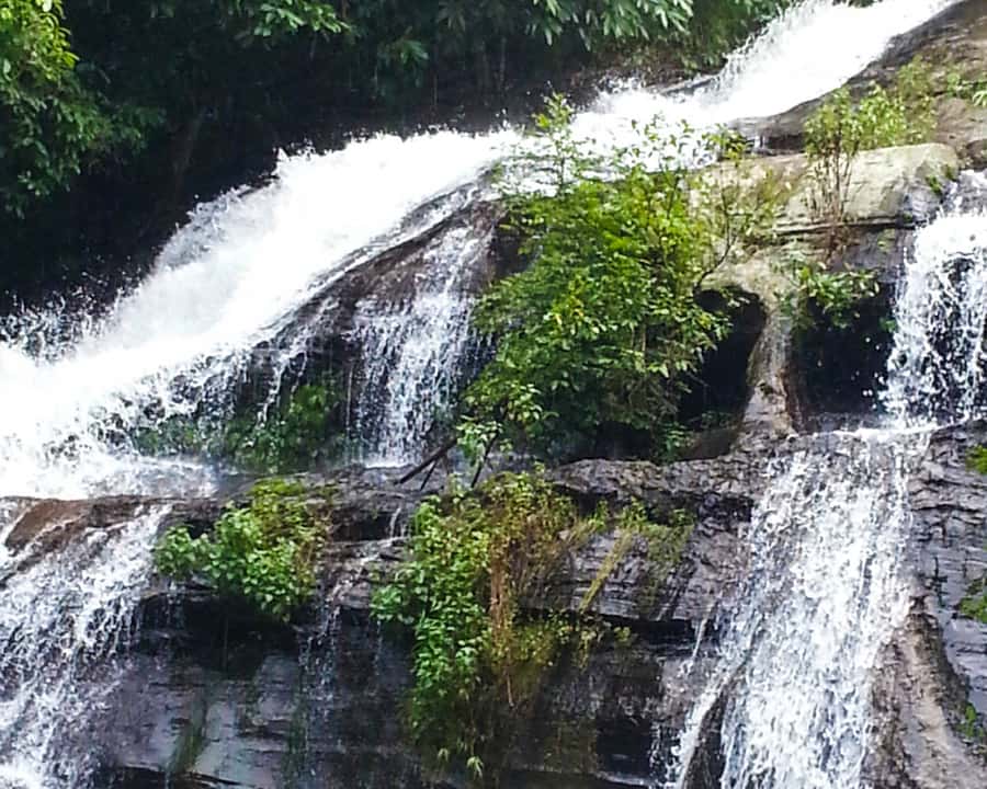 From Chiang Mai: Doi Inthanon National Park Day Trip & Hike - Guides, driving, and the pace of the day