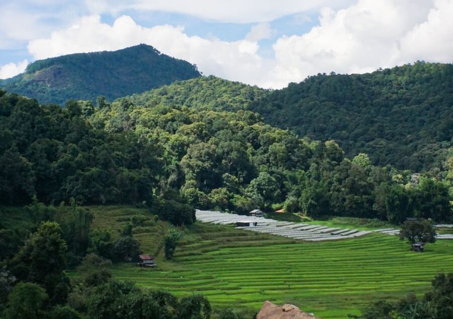 From Chiang Mai: Doi Inthanon National Park Day Trip & Hike - Is $106 good value?