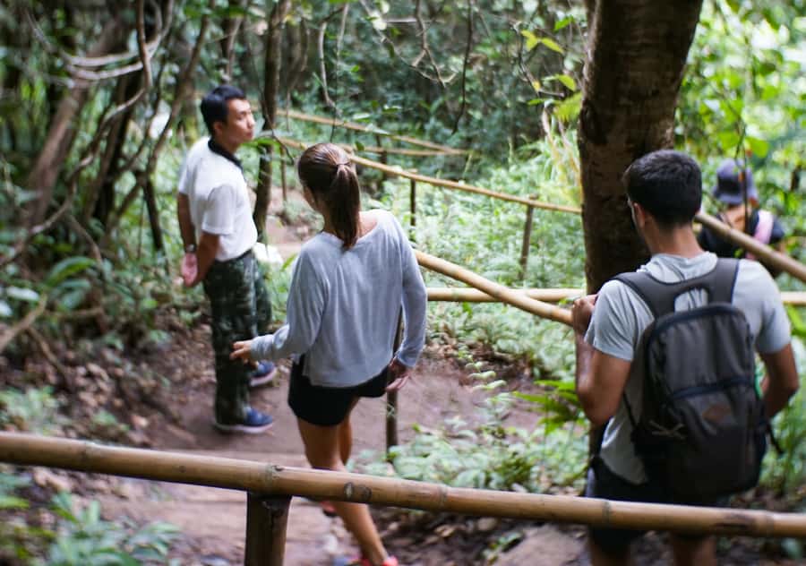 From Chiang Mai: Doi Inthanon National Park Day Trip & Hike - The summit and Angka Nature Trail