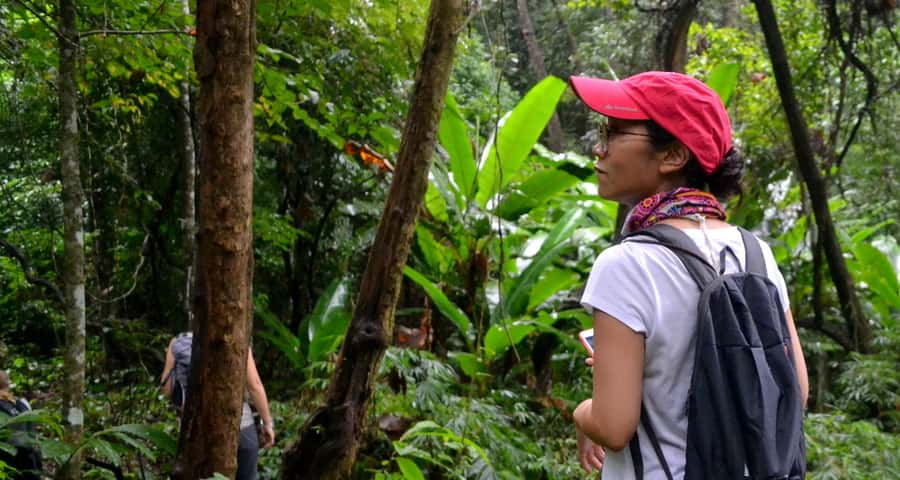 From Chiang Mai: Mae Taeng Valley Hike & Bike Day Trip - Why this Mae Taeng day trip works