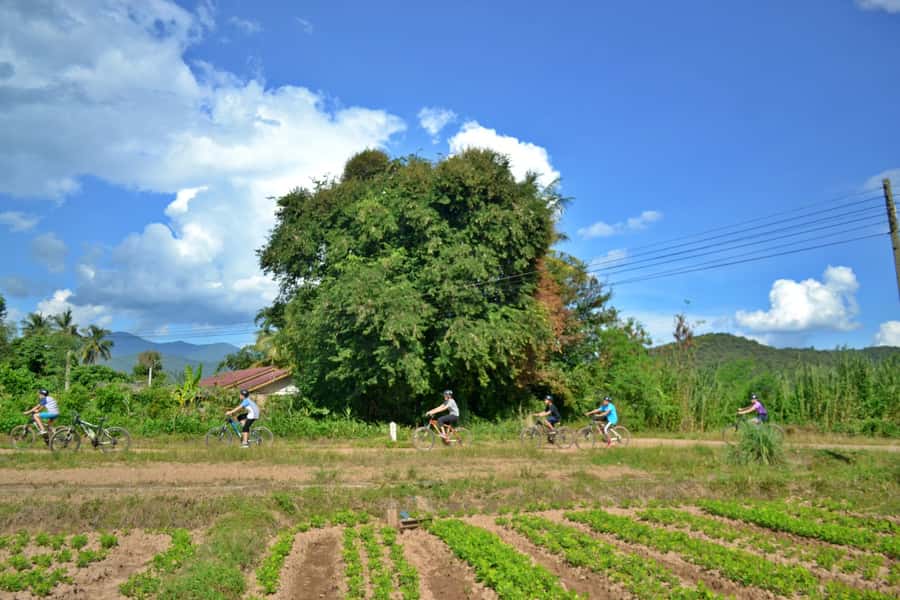 From Chiang Mai: Mae Taeng Valley Hike & Bike Day Trip - A Thai lunch with a countryside setting