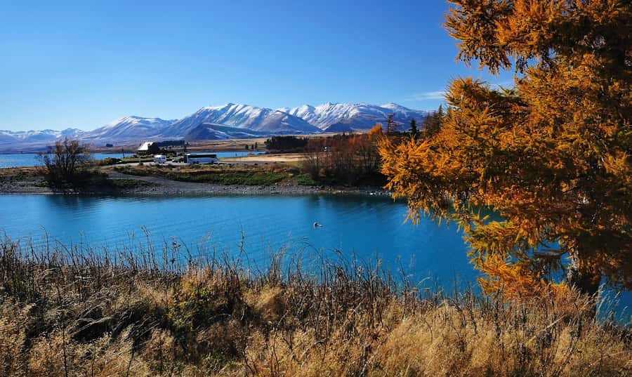 From Christchurch: Queenstown via Tekapo & Mt Cook Day Trip - Kawarau Gorge before Queenstown