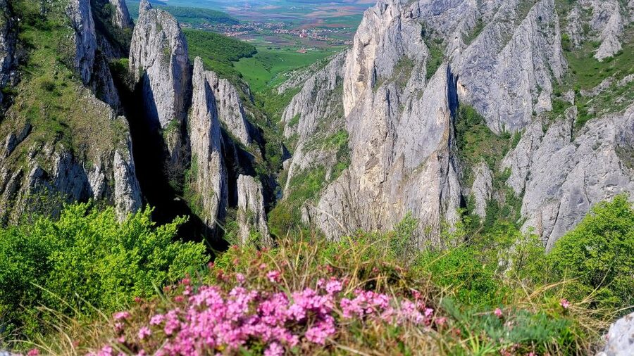 From Cluj: Turda Salt Mine, Gorge, and Remetea Full-Day Trip - The monastery stop adds a quiet finish