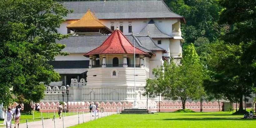 From Colombo: Kandy Full-Day Trip - Guides, driving, and the shared-tour experience