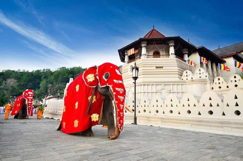 From Colombo: Kandy, Pinnawala and Tea Factory Full-Day Trip - Spices, herbs, and the first taste of local industry