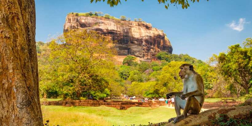 From Colombo: Sigiriya and Dambulla Day Trip with Safari - FAQ