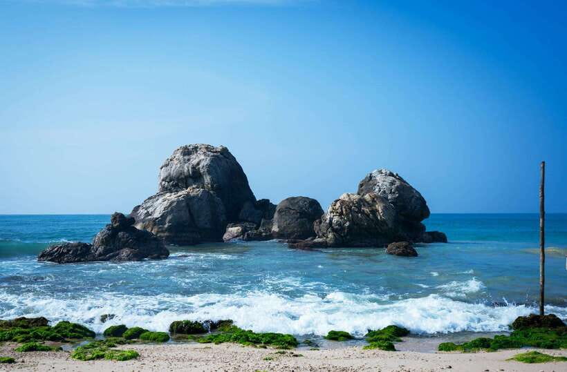 From Colombo to Galle Fort and Jungle Beach Day Trip - What the guides add to the experience