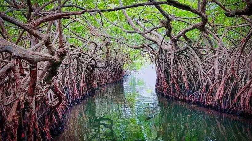From Colombo to Galle Fort and Unawatuna Beach Day Trip - Who should book this south-coast day trip?