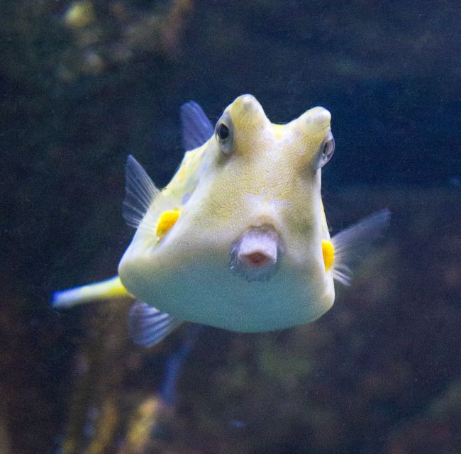 From Costa Brava: Barcelona Day Trip with Aquarium Visit - Leaving the Costa Brava by bus