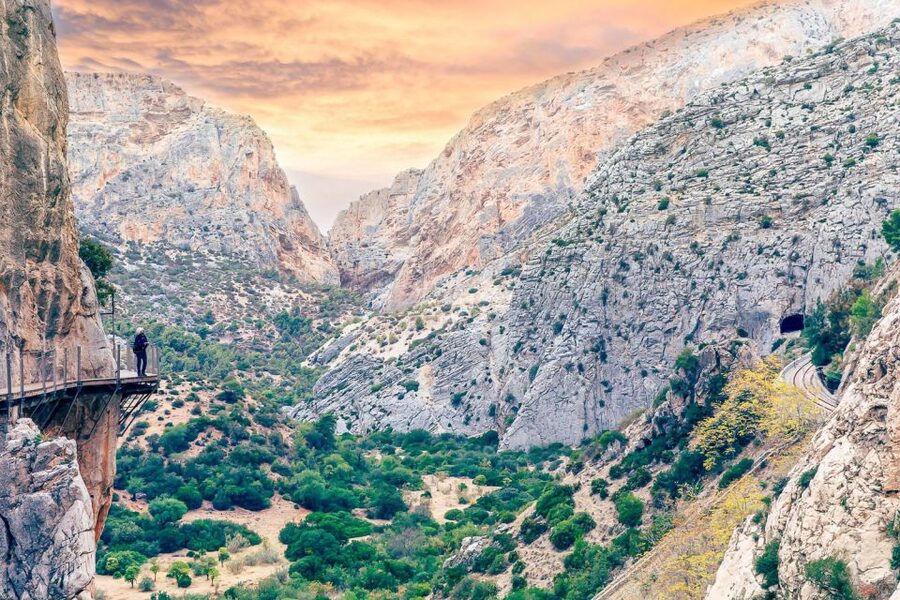 From Costa del Sol: Caminito del Rey Day Trip - Price and value at $100