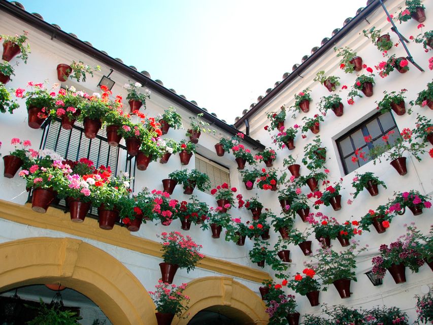 From Costa del Sol: Day Trip to Cordoba Free Time - Key points to know before booking