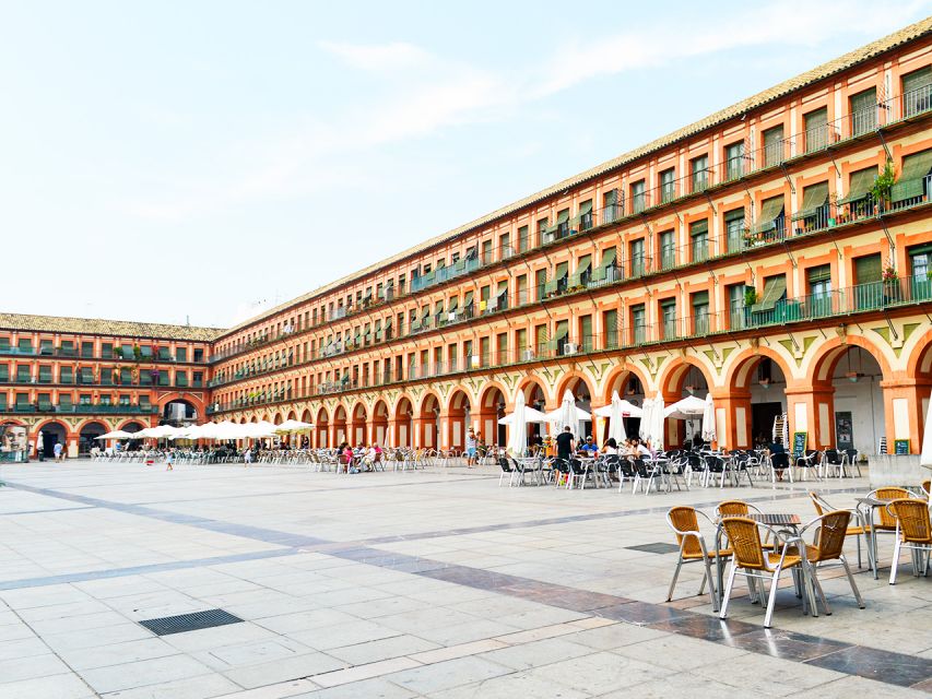 From Costa del Sol: Day Trip to Cordoba Free Time - Who should book this day trip