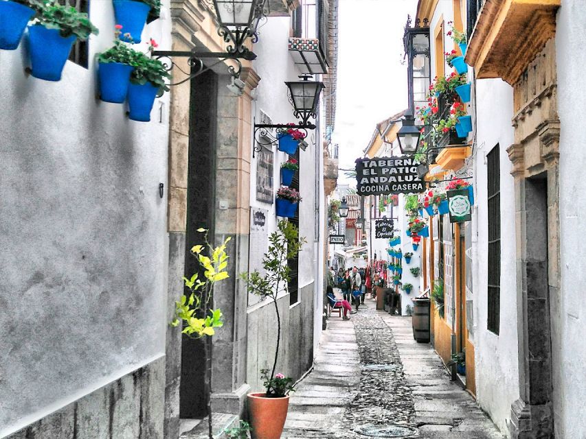From Costa del Sol: Day Trip to Cordoba Free Time - Arriving in Córdoba with a free afternoon ahead