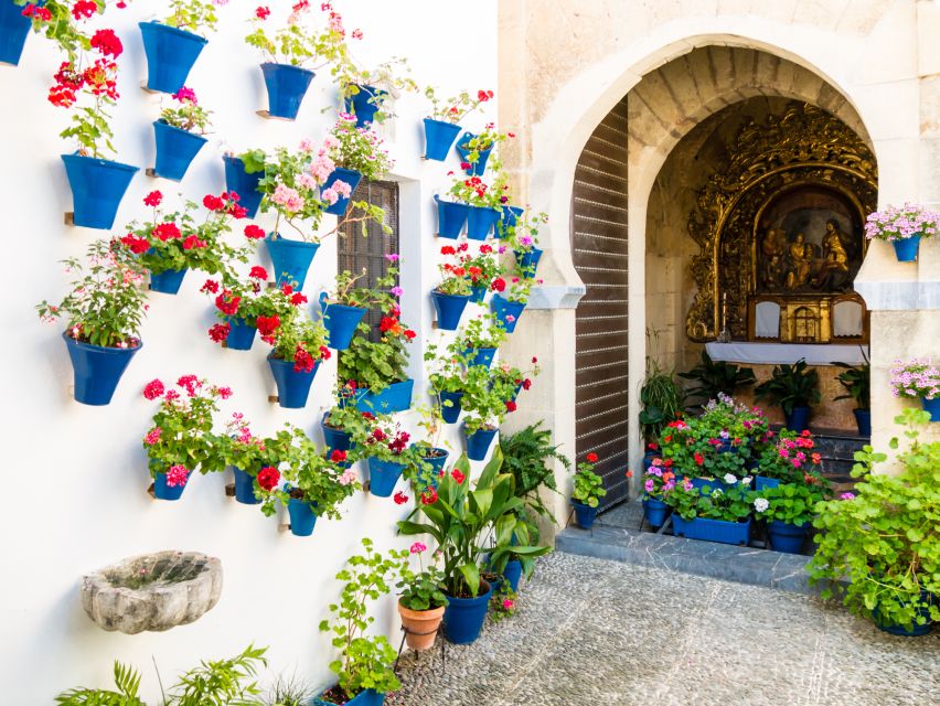 From Costa del Sol: Day Trip to Cordoba Free Time - The Jewish Quarter and its narrow lanes