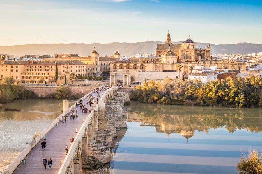 From Costa del Sol: Day Trip to Cordoba Free Time - The Mosque-Cathedral and Patio de los Naranjos