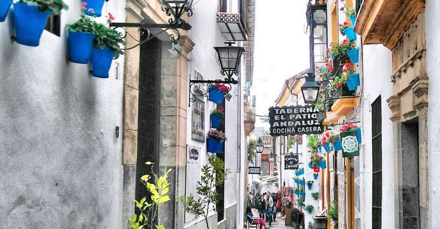 From Costa del Sol: Day Trip to Cordoba Free Time - The two-hour coach journey from the Costa del Sol