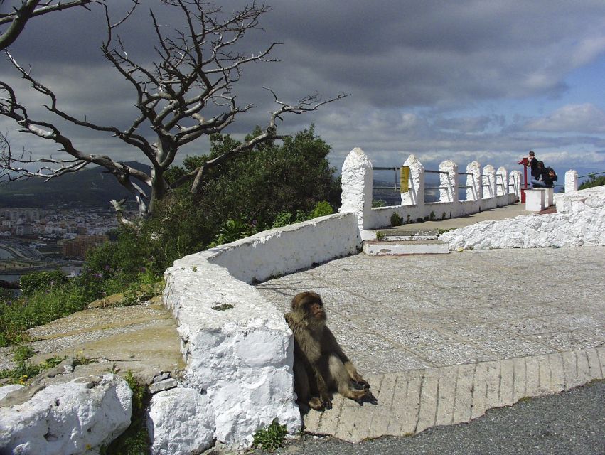 From Costa del Sol: Day Trip to Gibraltar with Guided Tour - St. Michael’s Cave, Gibraltar’s atmospheric stop