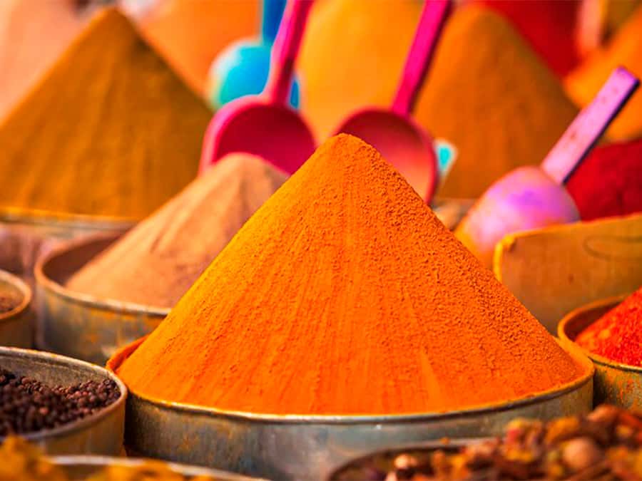 From Costa del Sol: Discover Tangier on a Guided Day Trip - Tangier from the coach: a useful first look