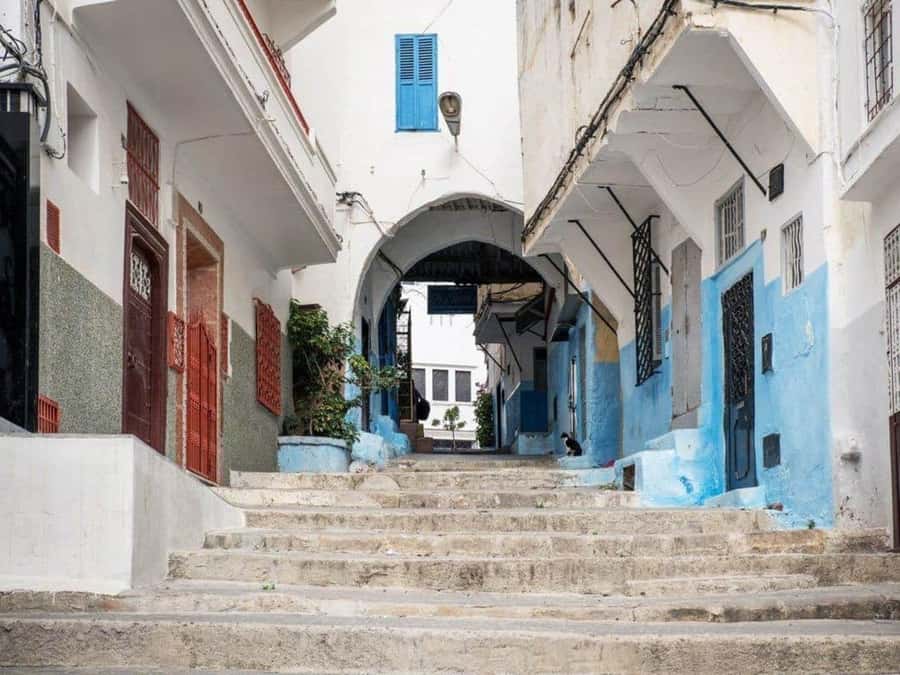 From Costa del Sol: Discover Tangier on a Guided Day Trip - The return journey and the real cost of the day