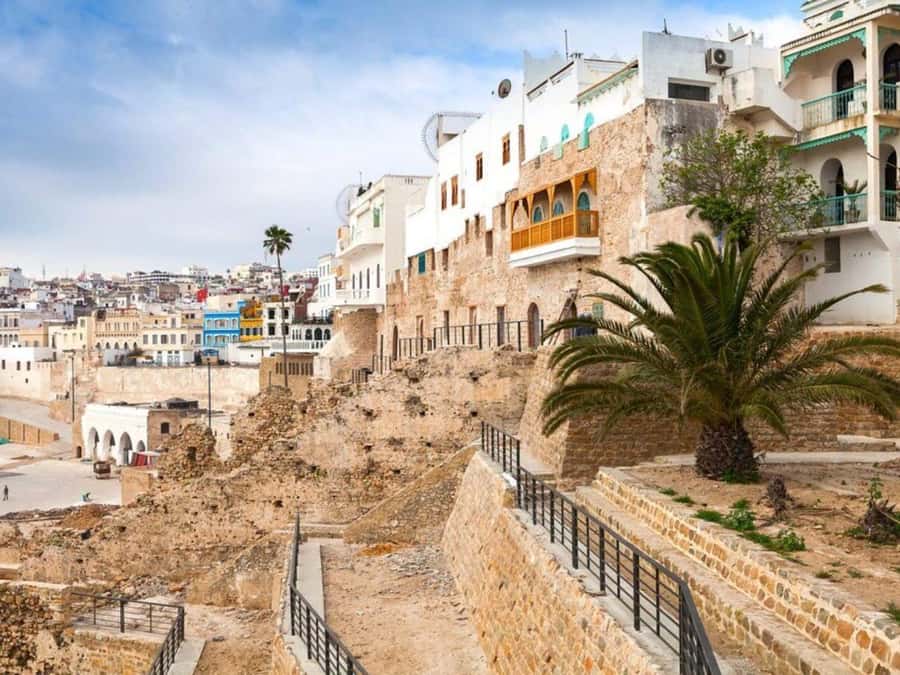 From Costa del Sol: Discover Tangier on a Guided Day Trip - What the guides add to the experience