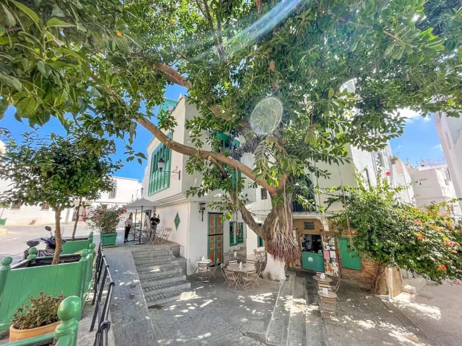 From Costa del Sol: Discover Tangier on a Guided Day Trip - Passports and clothing are not minor details