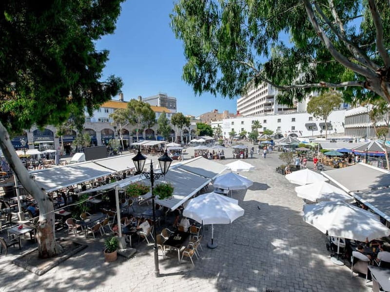 From Costa del Sol: Gibraltar Day Trip with Free Time - The guides are a major part of the experience