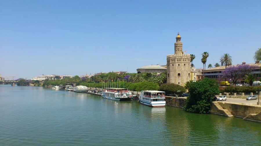From Costa del Sol & Malaga: Seville Day Trip - Guides, languages, and the feel of the group